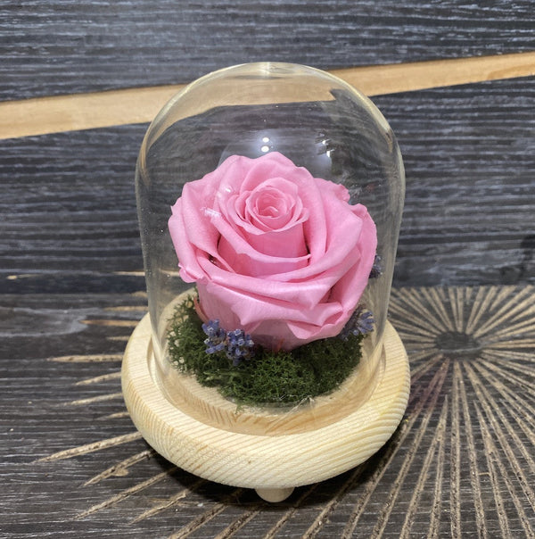 Trandafir criogenat roz in cupola de sticla mica