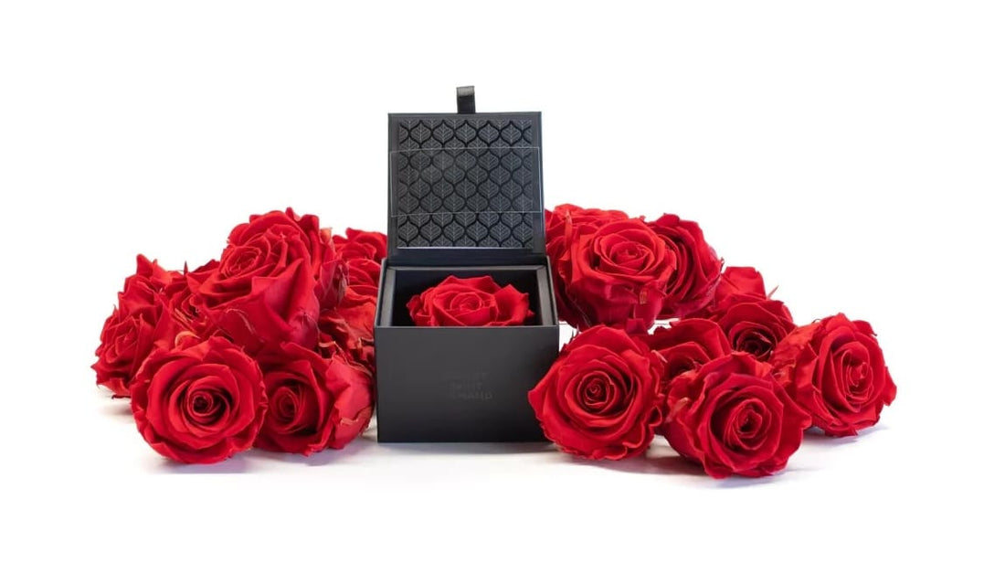 Trandafiri criogenati: O poveste despre Frumusete si Inovatie