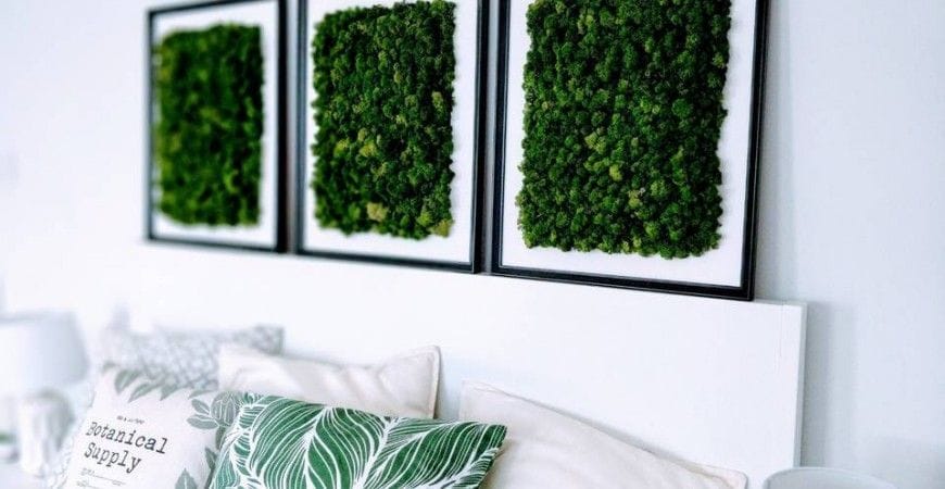 Tablourile cu Licheni Stabilizati - Solutia Ideala pentru Birouri