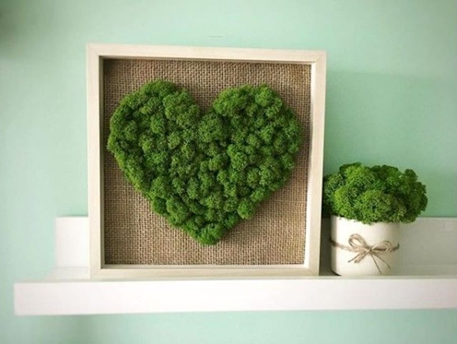 Tablourile Personalizate cu Muschi Stabilizati - Ingrijire, Modele, Preturi