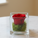 Trandafir criogenat rosu si moss in cub de sticla