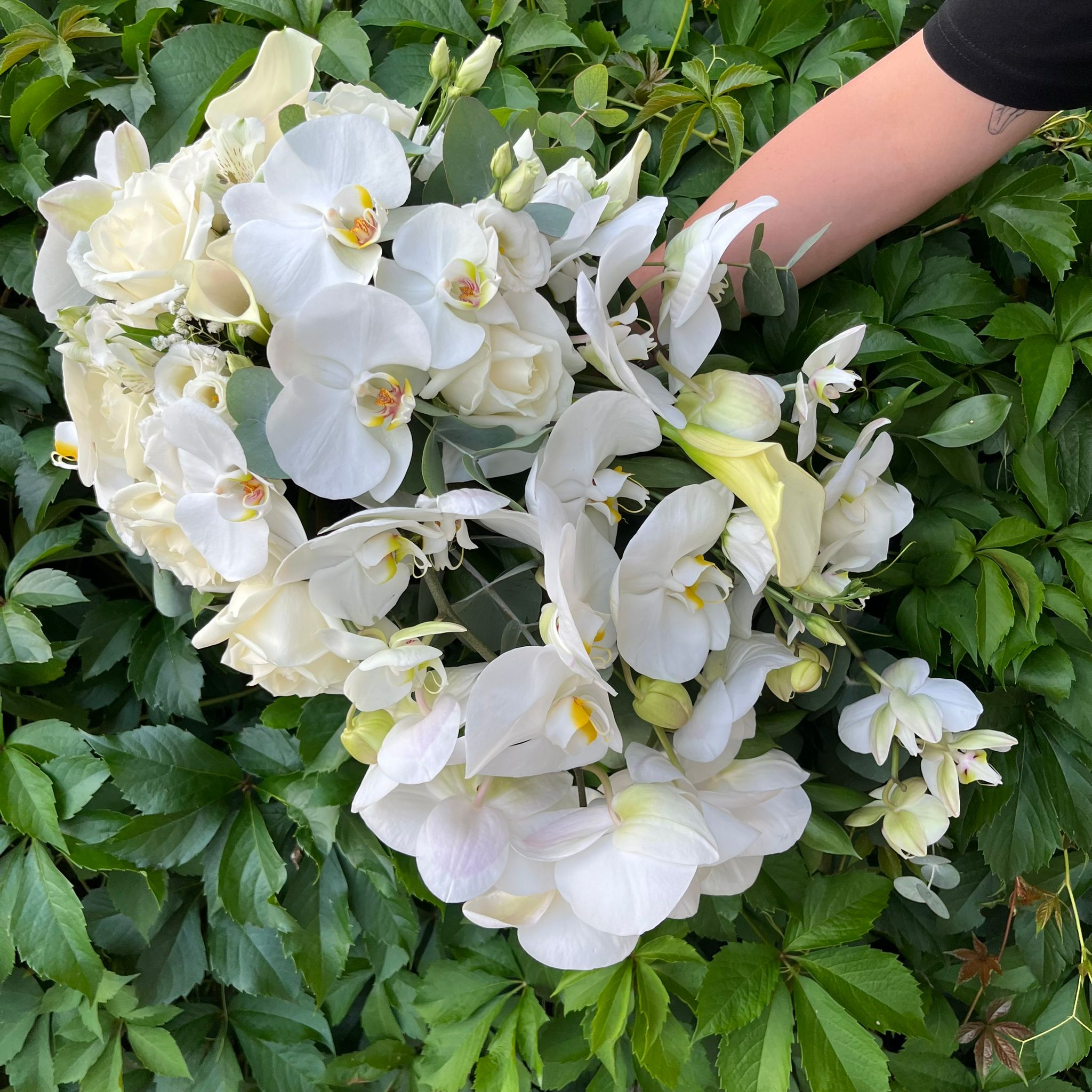 Buchet de mireasa curgator cu trandafiri, orhidee phalaenopsis si lisianthus