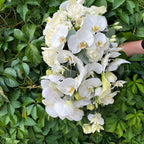 Flowing bridal bouquet with roses, phalaenopsis orchids and lisianthus
