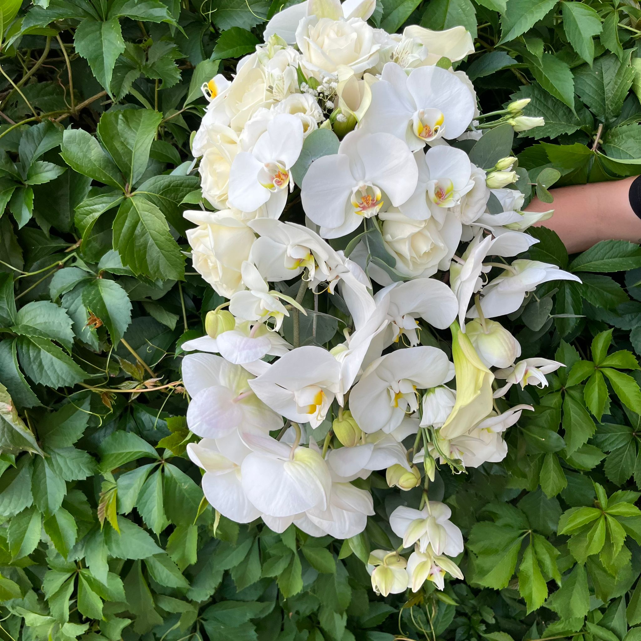 Buchet de mireasa curgator cu trandafiri, orhidee phalaenopsis si lisianthus