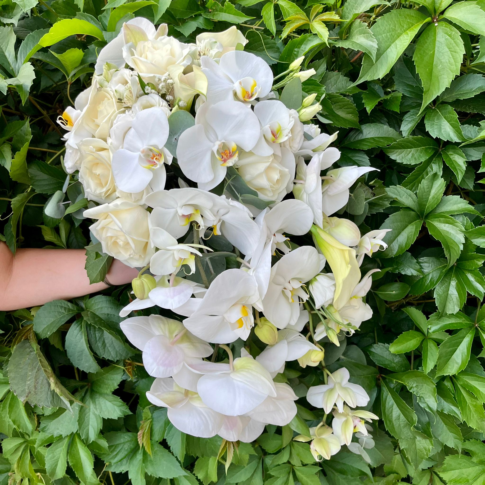 Buchet de mireasa curgator cu trandafiri, orhidee phalaenopsis si lisianthus