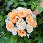 Bridal bouquet of cream roses