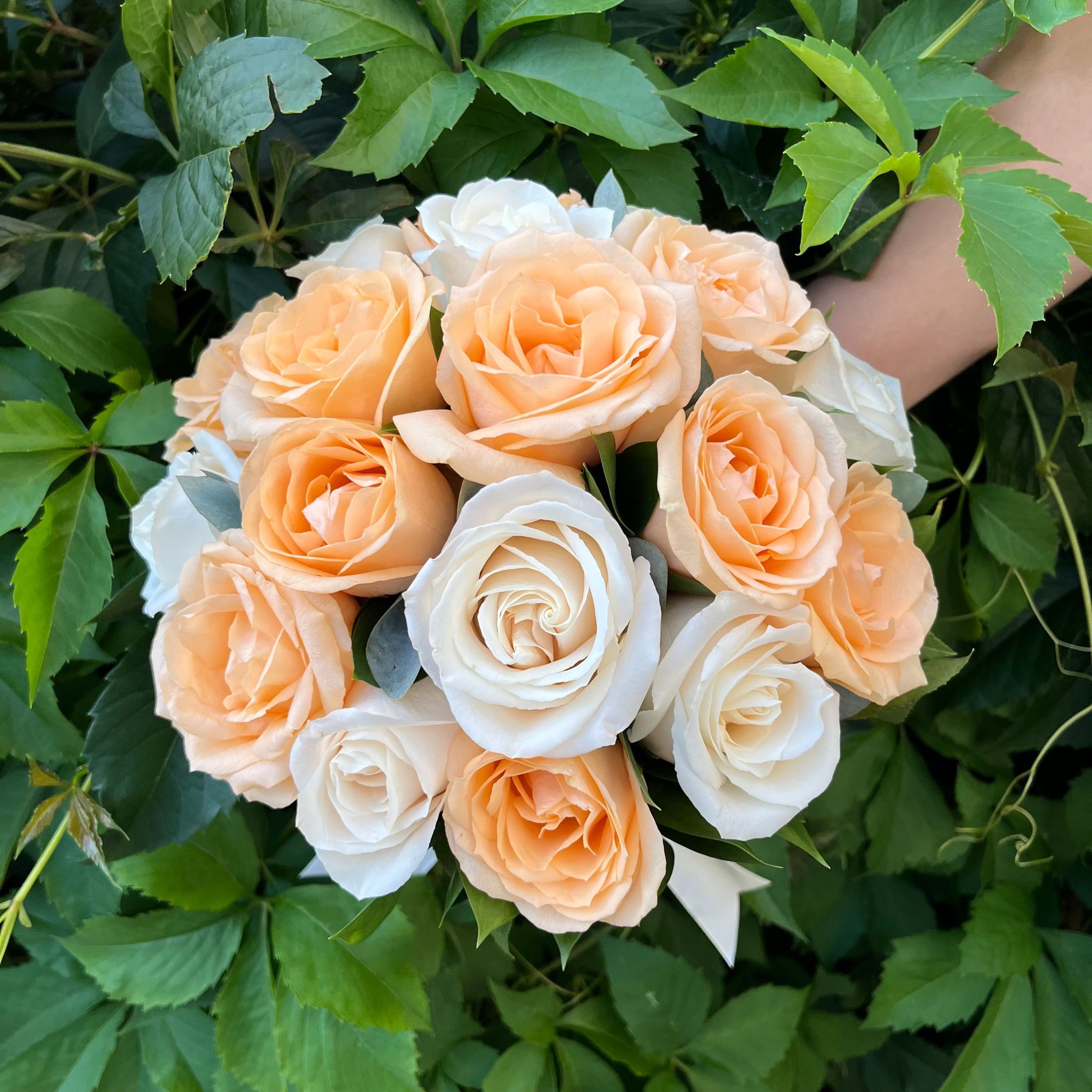 Bridal bouquet of cream roses