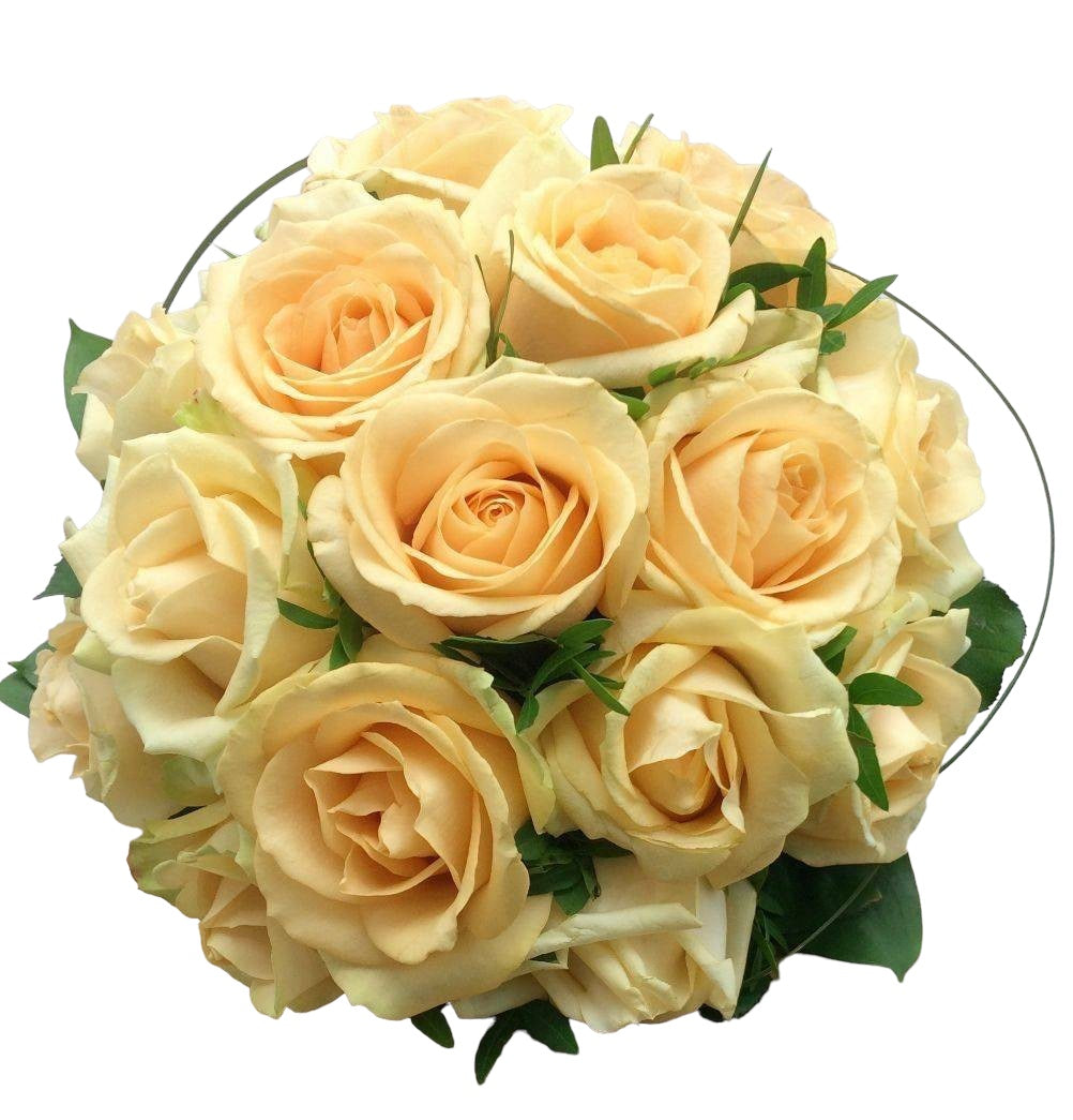 Buchet mireasa 15 trandafiri piersicuta