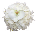 Buchet cununie hortensie alba si phalaenopsis