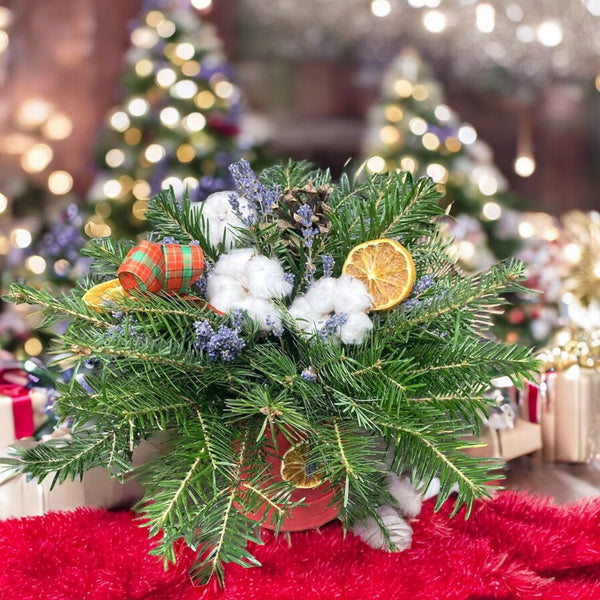 Christmas arrangement with fir tree and cotton flowers