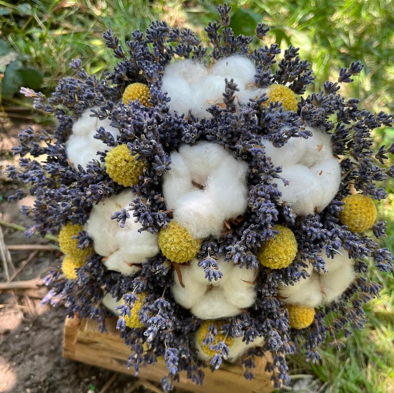 Bouquet with cotton flowers, lavender and craspedia