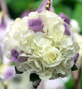 Hydrangea and roses wedding bouquet