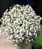 Wedding bouquet with the bride's flower