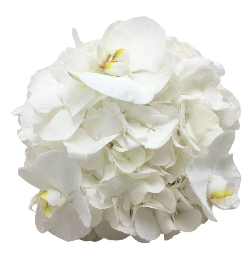 Buchet cununie hortensie alba si phalaenopsis