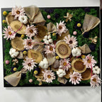 Tablou licheni stabilizati- bumbac, felii din lemn si craspedia
