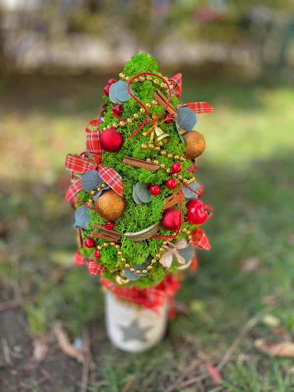 Bradulet with stabilized lichens - Christmas arrangement