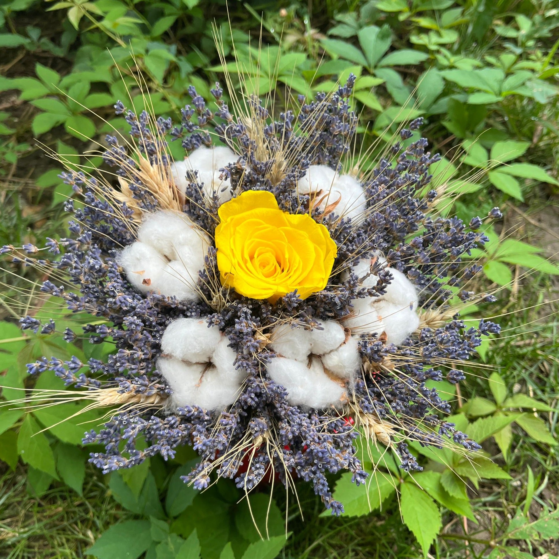 Special bouquet of lavender, wheat ears and cotton flowers