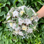 Buchet mireasa trandafiri albi bumbac si suculente