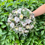 Buchet mireasa trandafiri albi bumbac si suculente