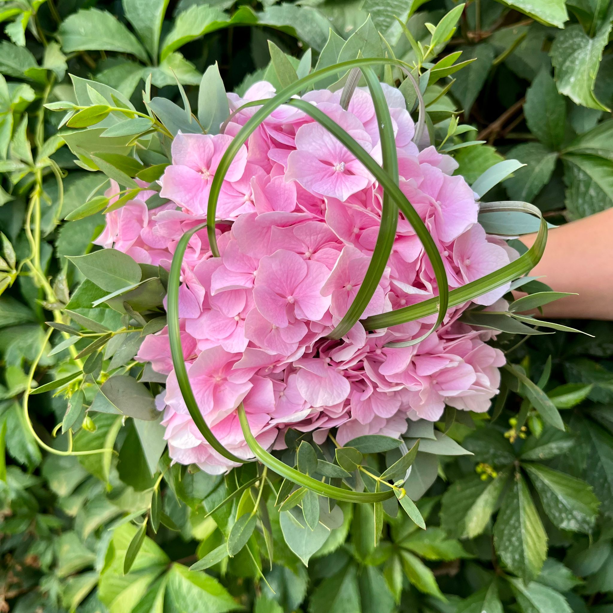Bridesmaid bouquet with pink hydrangea