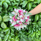 Cymbidium and pink lisianthus wedding bouquet