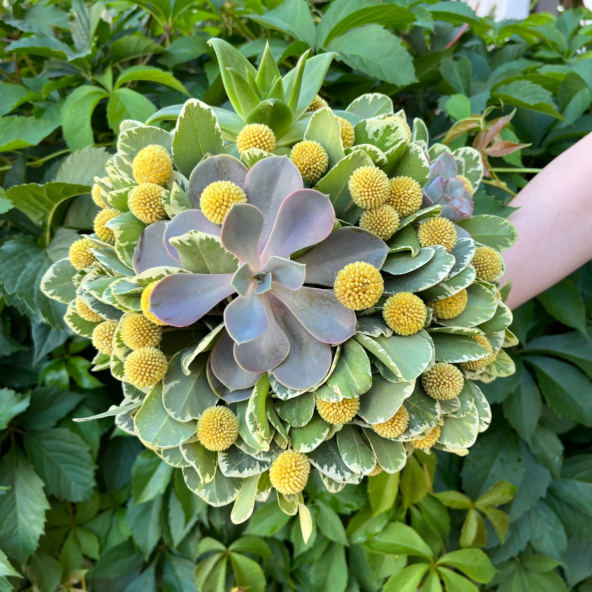 Buchet de cununie cu plante suculente si craspedia