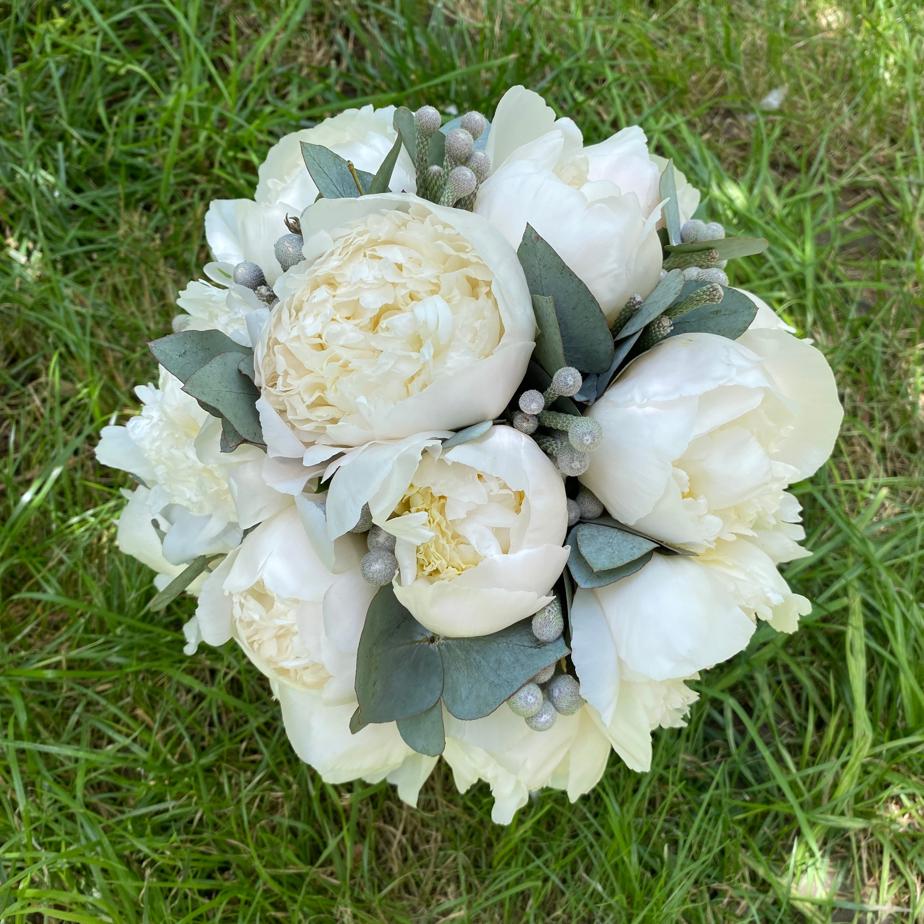 Wedding bouquet of 15 white and brown peonies