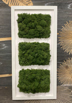 Tablou cu licheni stabilizati verzi