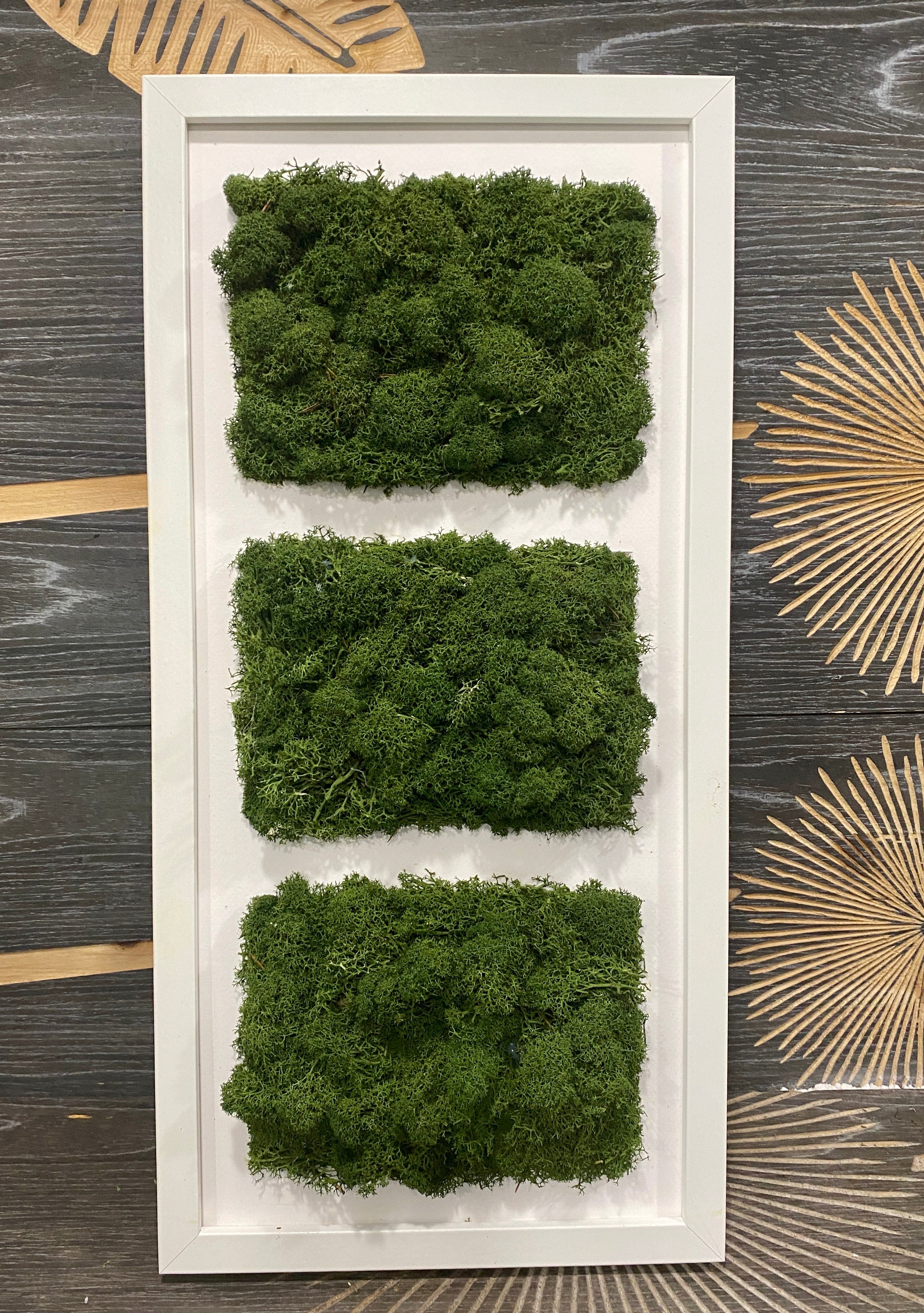 Tablou cu licheni stabilizati verzi