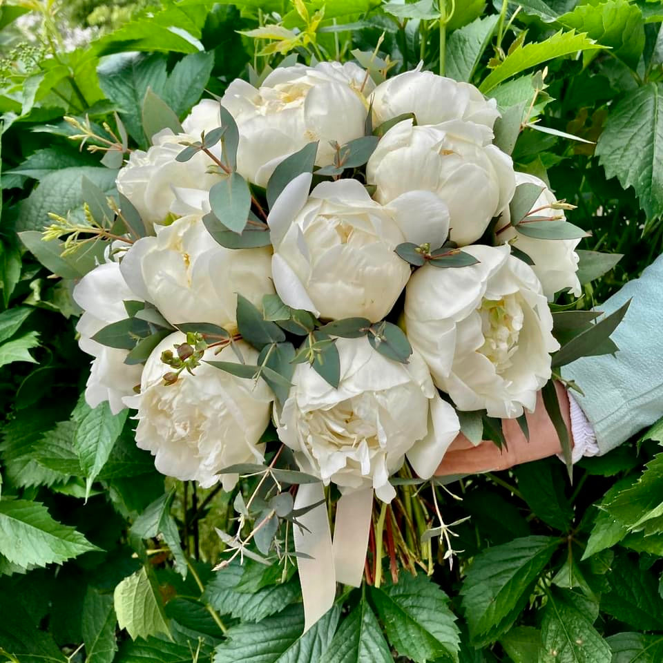 Buchet cununie 19 bujori albi