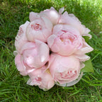 Buchet mireasa bujori roz