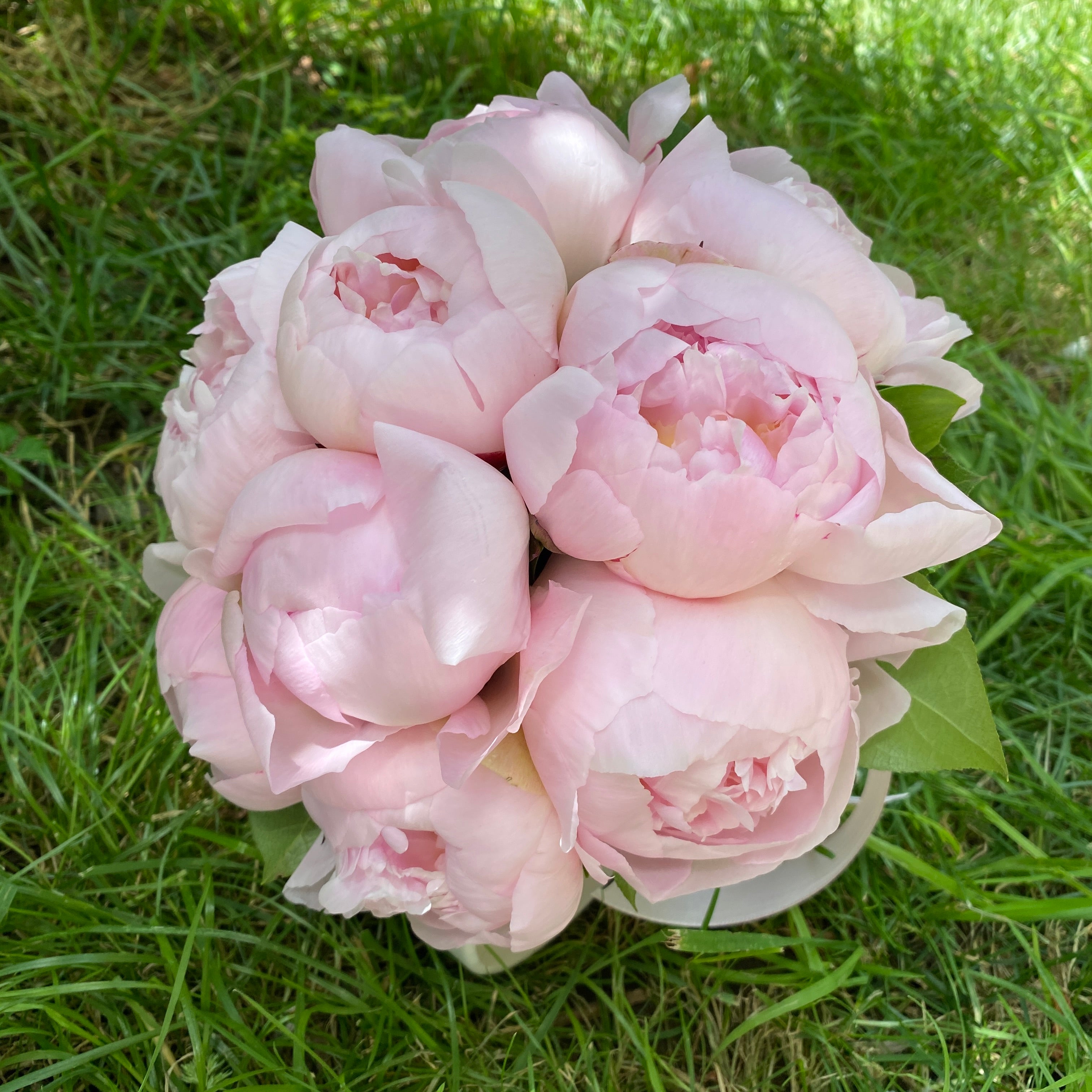 Buchet mireasa bujori roz