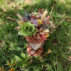 Aranjament elegant cu trandafiri criogenati