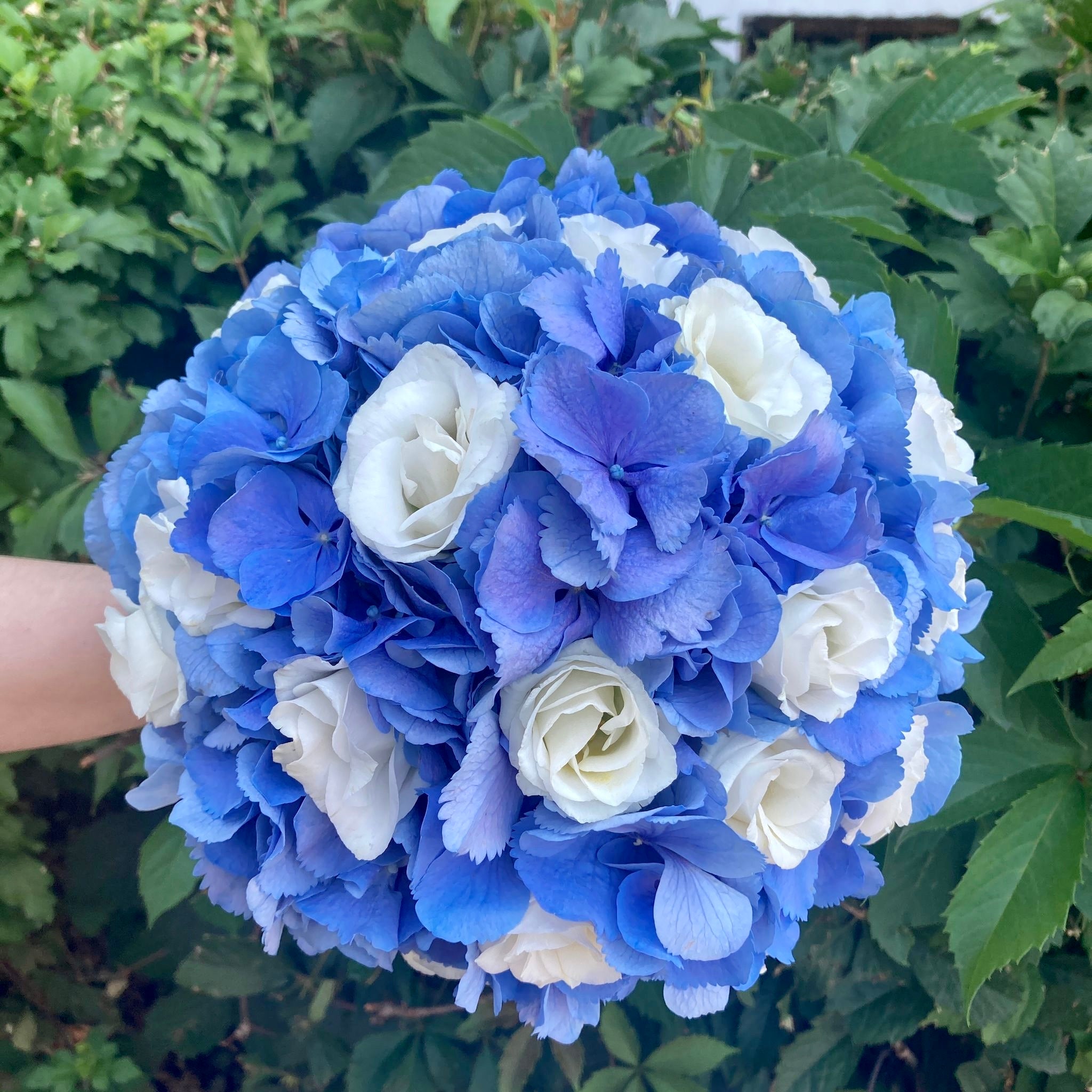 Buchet cununie hortensie albastra si lisianthus