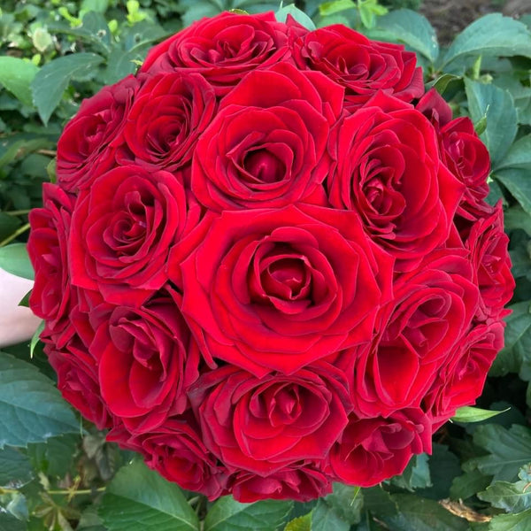 Bridal bouquet of 19 red roses