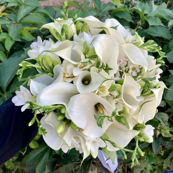 Bridal bouquet of calla and freesias