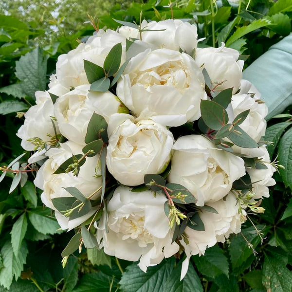 White peonies wedding bouquet