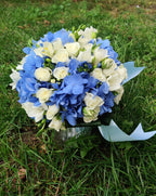 Buchet mireasa hortensie albastra si frezii albe