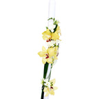 Lumanare botez orhidee cymbidium galbena