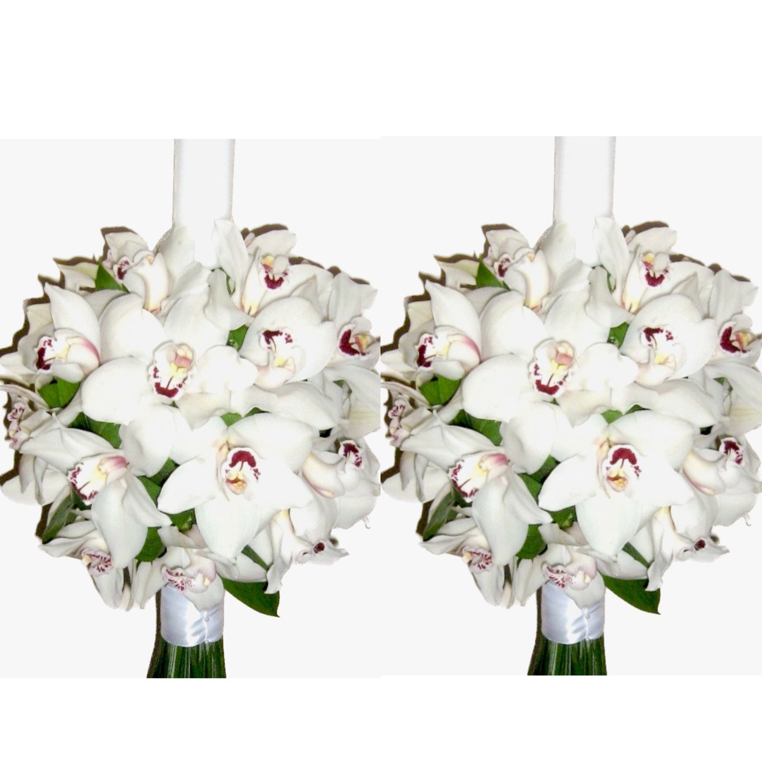 Lumanari cununie din orhidee Cymbidium alba
