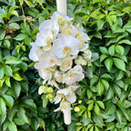 Flowing christening candle - roses, lisianthus and phalaenopsis orchids