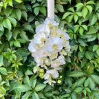 Flowing christening candle - roses, lisianthus and phalaenopsis orchids