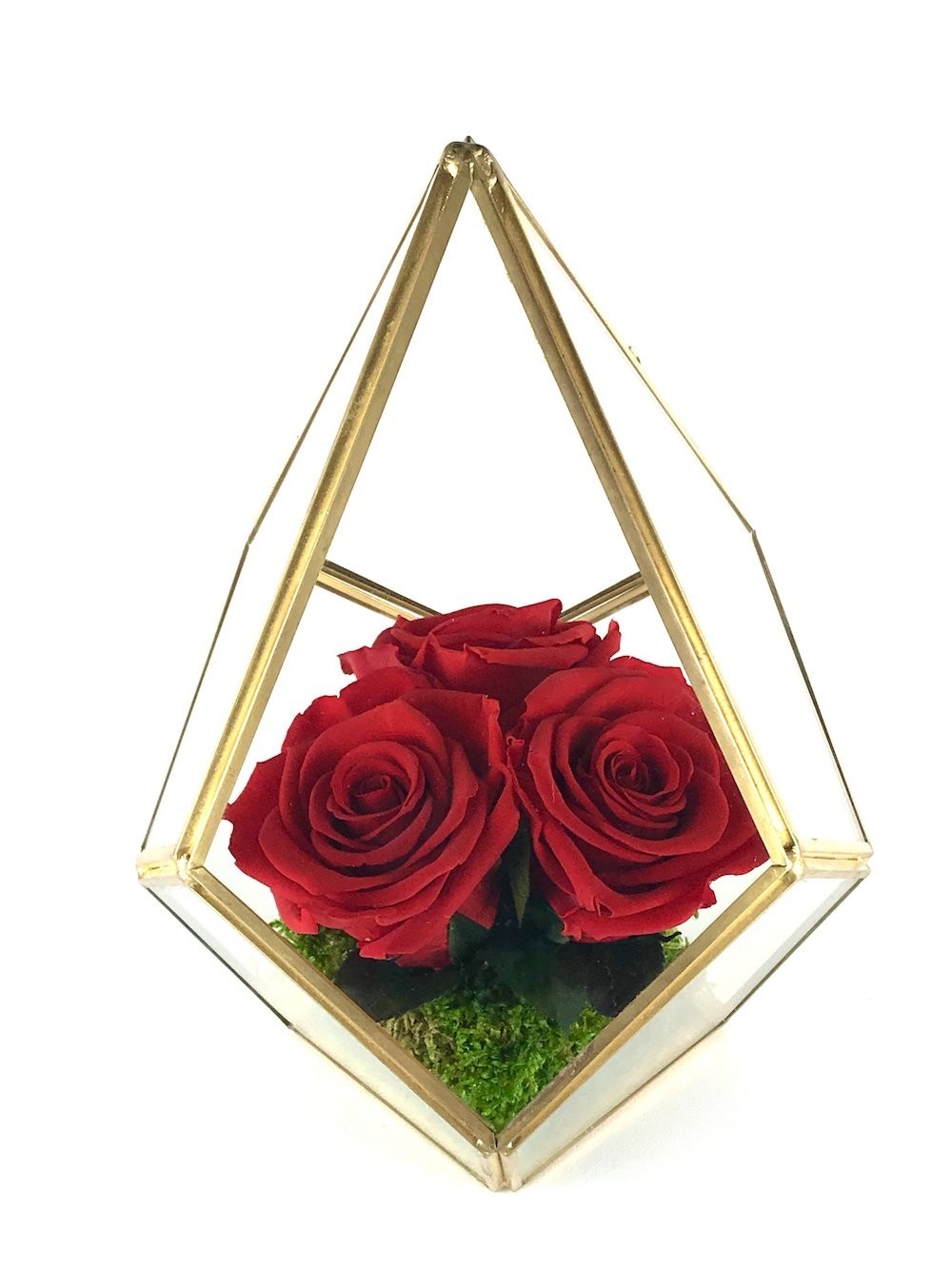 Trandafiri criogenati rosii in terarium sticla, online, cu pret special!