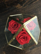 Trandafiri criogenati rosii in terarium sticla, online, cu pret special!
