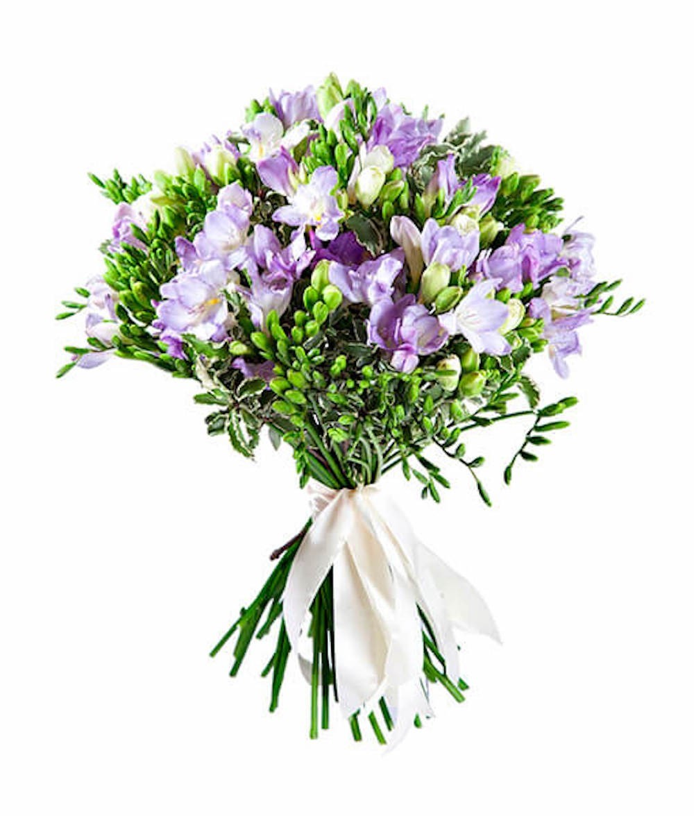 Buchet din frezii mov