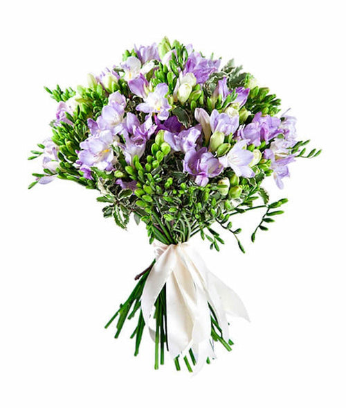 Buchet din frezii mov