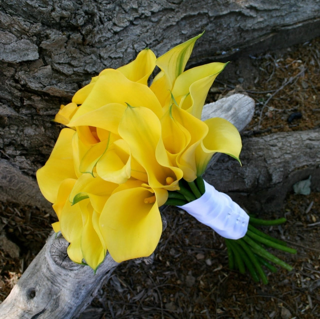 Buchet de mireasa din 19 cale galbene