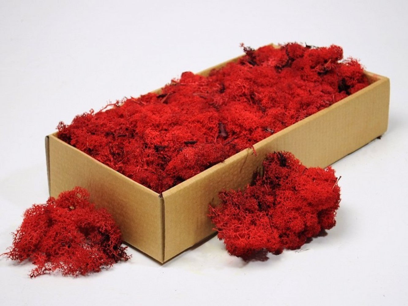 Moss natural, muschi conservat, licheni conservati pentru terarii, pret