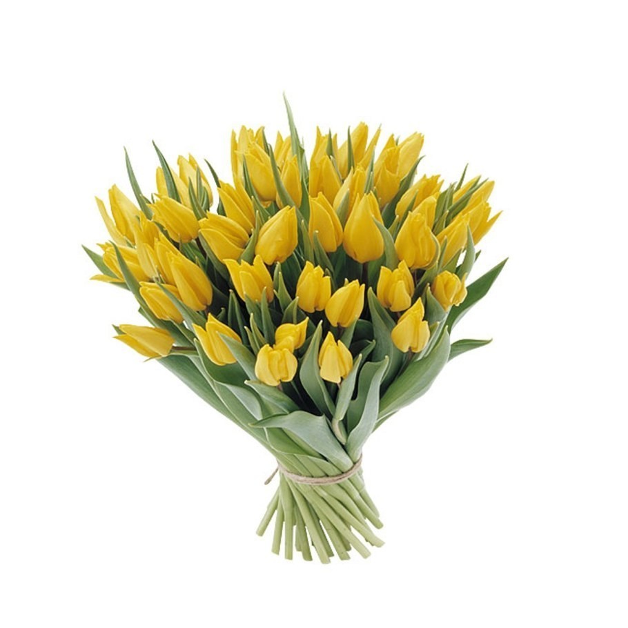 Buchet din lalele galbene, flori de primavara la preturi speciale!