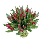 Buchet din lalele rosii -  flori de primavara